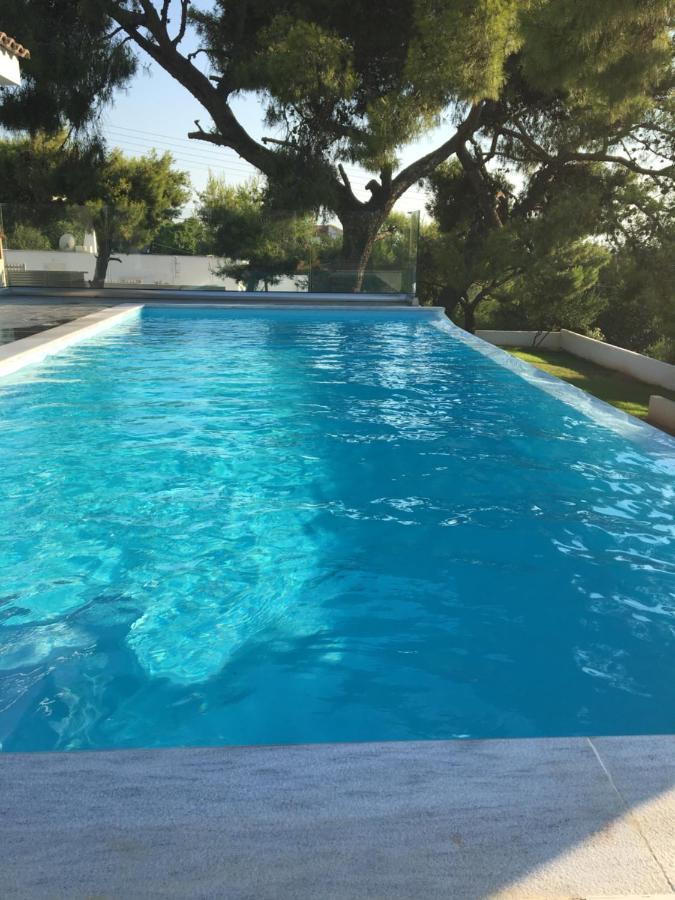 Villa Tranquility ลาโกนิสซี ภายนอก รูปภาพ