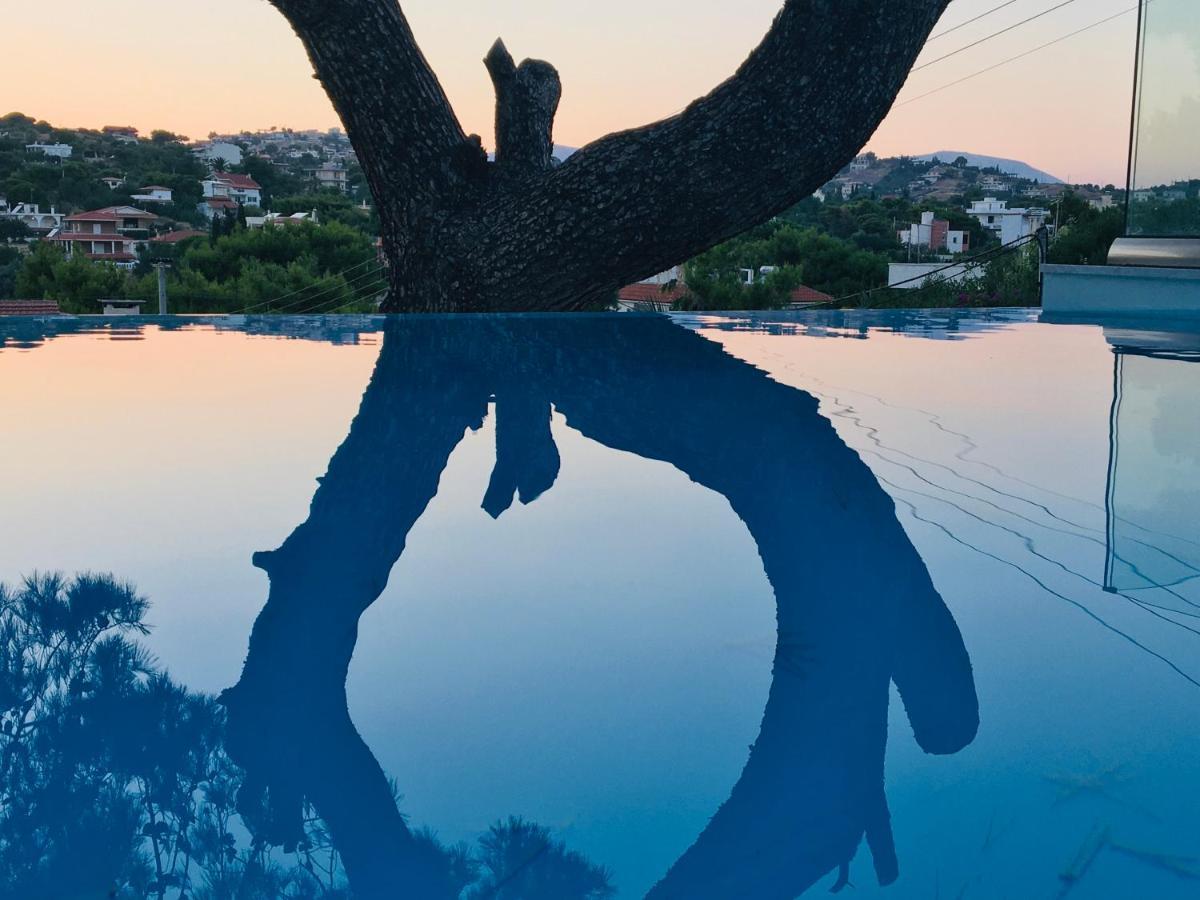 Villa Tranquility ลาโกนิสซี ภายนอก รูปภาพ